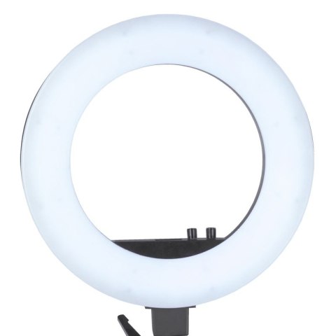 Lampa pierścieniowa Ring light 18" 48W led czarna + statyw Lampa pierścieniowa Ring light 18" 48W led czarna + statyw