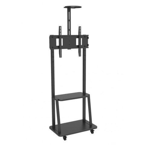 Stojak mobilny Techly 32"-70", 60kg, z półką Stojak mobilny Techly 32"-70", 60kg, z półką