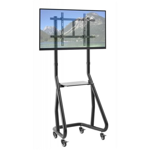 Stojak mobilny Techly 37''-80'', 80kg z półką Stojak mobilny Techly 37''-80'', 80kg z półką