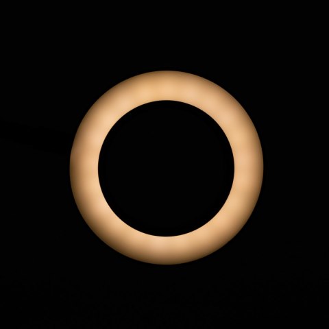 Lampka lupa led snake ring na biurko czarna Lampka lupa led snake ring na biurko czarna