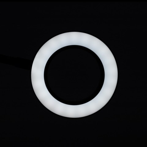 Lampka lupa led snake ring na biurko czarna Lampka lupa led snake ring na biurko czarna